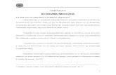 capitulo2 problemas pymes.pdf
