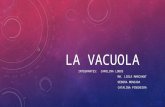 La Vacuola