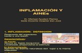 VII Ciclo - Inflamación y AINES