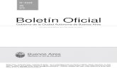Boletín Oficial - 20100628