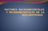 Factores Macroambientales y Microambientales de La Mercadotecnica