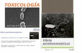 Toxicología Vibrio Parahaemolyticus