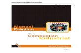 Manual Practico de Combustion Industrial