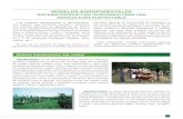 Libro Modelos Agroforestales