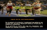 Introduccion Al Metabolismo Biol 2011