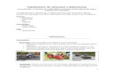 Clasificacion de Vehiculos y Definiciones (1)