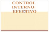 Control Interno-Efectivo y Flujo de Caja