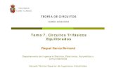 Guía de Circuitos Trifasicos. Universidad Castilla de La Mancha