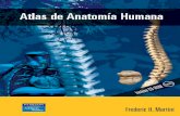 Atlas Del Cuerpo Humano - Frederic Martini
