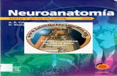 Neuroanatomia Texto y Atlas - Crossman 3°.pdf