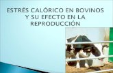 Unidad II- Efecto Del Estres Calorico Sobre La Reproduccion en Bovino (2)