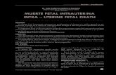 Muerte fetal intrauterina (1).pdf