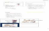 S3_Captura y presentacion de antigenos a linfocitos T_17.08.12.pdf