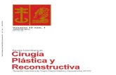 Cirugía Plástica y Reconstrcutiva Volumen 19 No 1 Junio 2013