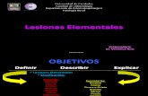 Lesiones Elementales presentaciones.pdf