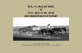 Formacion Del Caliche Humberstone