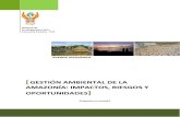 16534402 Analisis Sobre Gestion Ambiental Amazonia Reporte