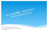 La Columna Cervical