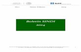 Boletín SINDI Ene Feb 2014
