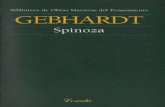 Spinoza - Carl Gebhardt