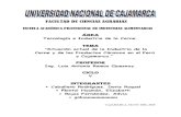 Situación Actual de La Industria de La Carne y de Los Productos Cárnicos en El Perú y Cajamarca