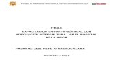 1. Plan Implementacion-capacitacion - Hospital La Uniòn Hco- Nepeto Machuca Jara