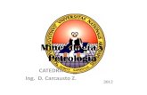 Mineralogia y Petrologia 2012b Ppt [Modo de Compatibilidad]