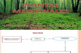Fitoterapia Del Metabolismo