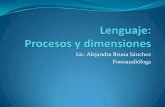 Lenguaje Procesos y Dimensiones Estimulacion Temprana