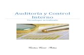 Auditoria y Control Interno