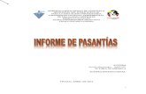 Informe de Pasantías (Amada Montenegro-unerg)