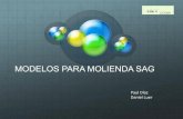 14. Presentación Nº 14 - Díaz y Luer - Ingeniería y Tecnología Ltda.