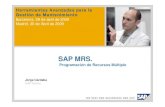 2 SAP MRS Programación de Recursos Múltiple