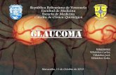 Grupo II. Glaucoma