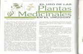 Plantas Medicinales Uruguay BSE