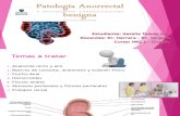 Patología Anorrectal Benigna NATALIA TOLEDO URRA - Cirugía