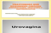 Exposiciòn Pneumovagina, Urovagina y Uretroplastia