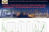 FORO_Petroquímica en El Perú