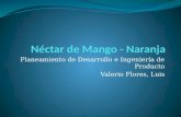 Néctar de Mango - Naranja