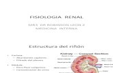 Fisiología Renal.ppt