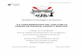 LA CONTAMINACION DEL SUELO EN LA CIUDAD DE OAXACA CAUSAS Y EFECTOS(original).docx