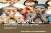 Raza y Derechos Humanos en Colombia