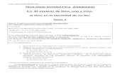 Sintesis de Teologia Dogmatica - F.doc