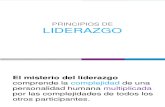 Principios de Liderazgo.pdf
