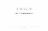 C. G. Jung - Seminarios