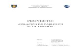 Informe Proyecto Aislación de Cables de Alta Tensión v1.1 Impreso