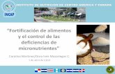 Fortificación de Alimentos y El Control de Las Deficiencias de Micronutrientes Abril 2013