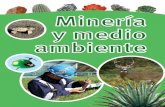 Mineria y Medio Ambiente[1]