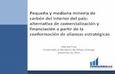 Pequeña y Mediana Minería de Carbón Del Interior Del País Informe Final 19 de Diciembre
