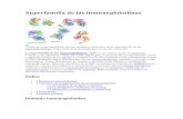 Superfamilia de Las Inmunoglobulinas